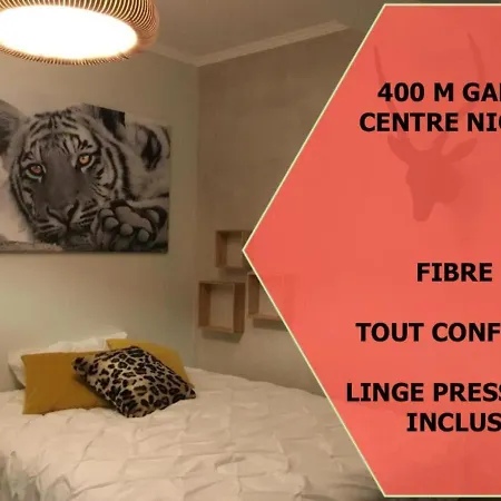 Appartement Le Centre 400m Gare Wifi Linge De Pressing *