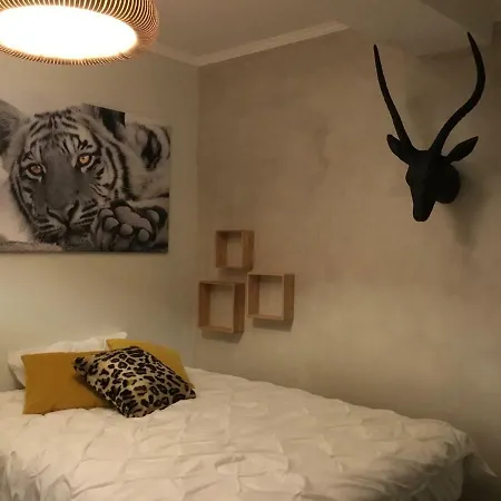 Appartement Le Centre 400m Gare Wifi Linge De Pressing